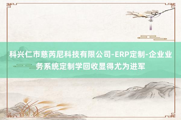 科兴仁市慈芮尼科技有限公司-ERP定制-企业业务系统定制学回收显得尤为进军